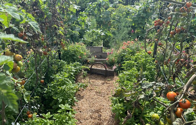 Permakultur: Tipps für einen natürlichen Garten