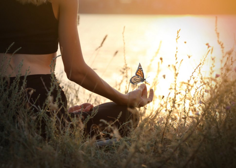 Holistische Heilung: Die Kraft der ganzheitlichen Gesundheit 